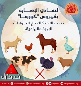 22- الاحتكاك مع الحيوانات