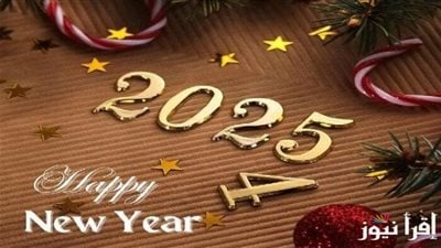 (العربية) ملخص لأهم أنشطة وانجازات المركز في عام 2024م